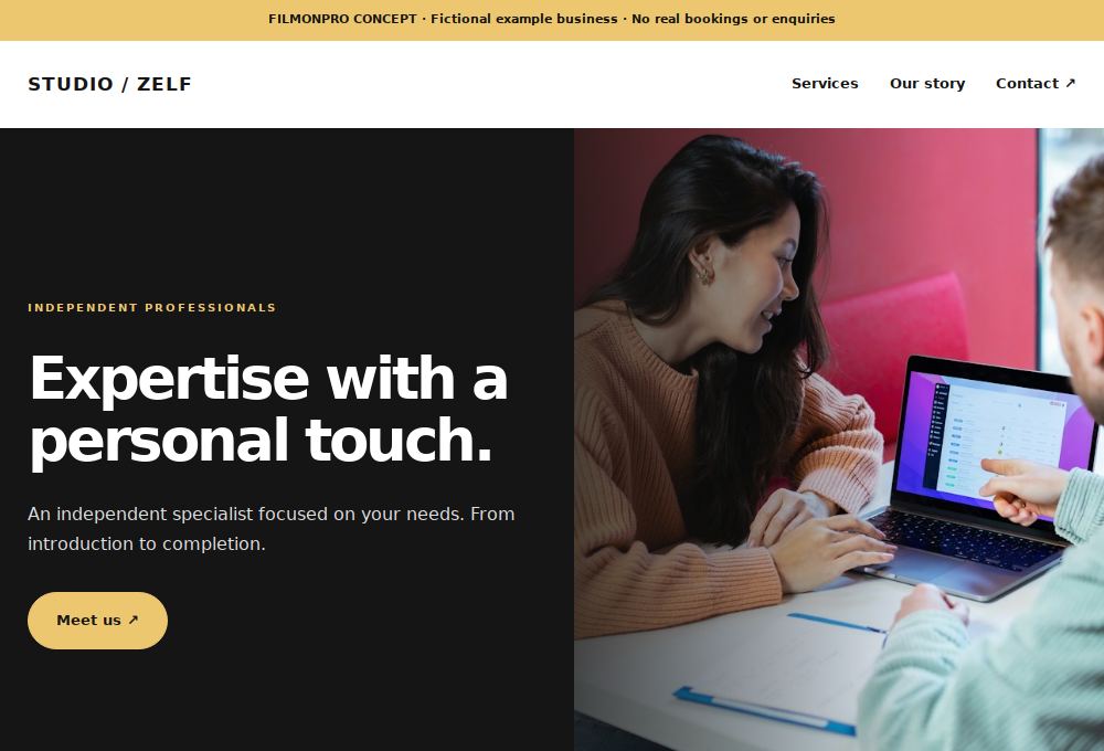 Website preview for the Independent professionals design concept