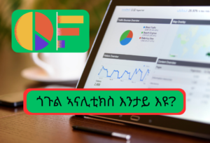 ጎጉል ኣናሊቲክስ